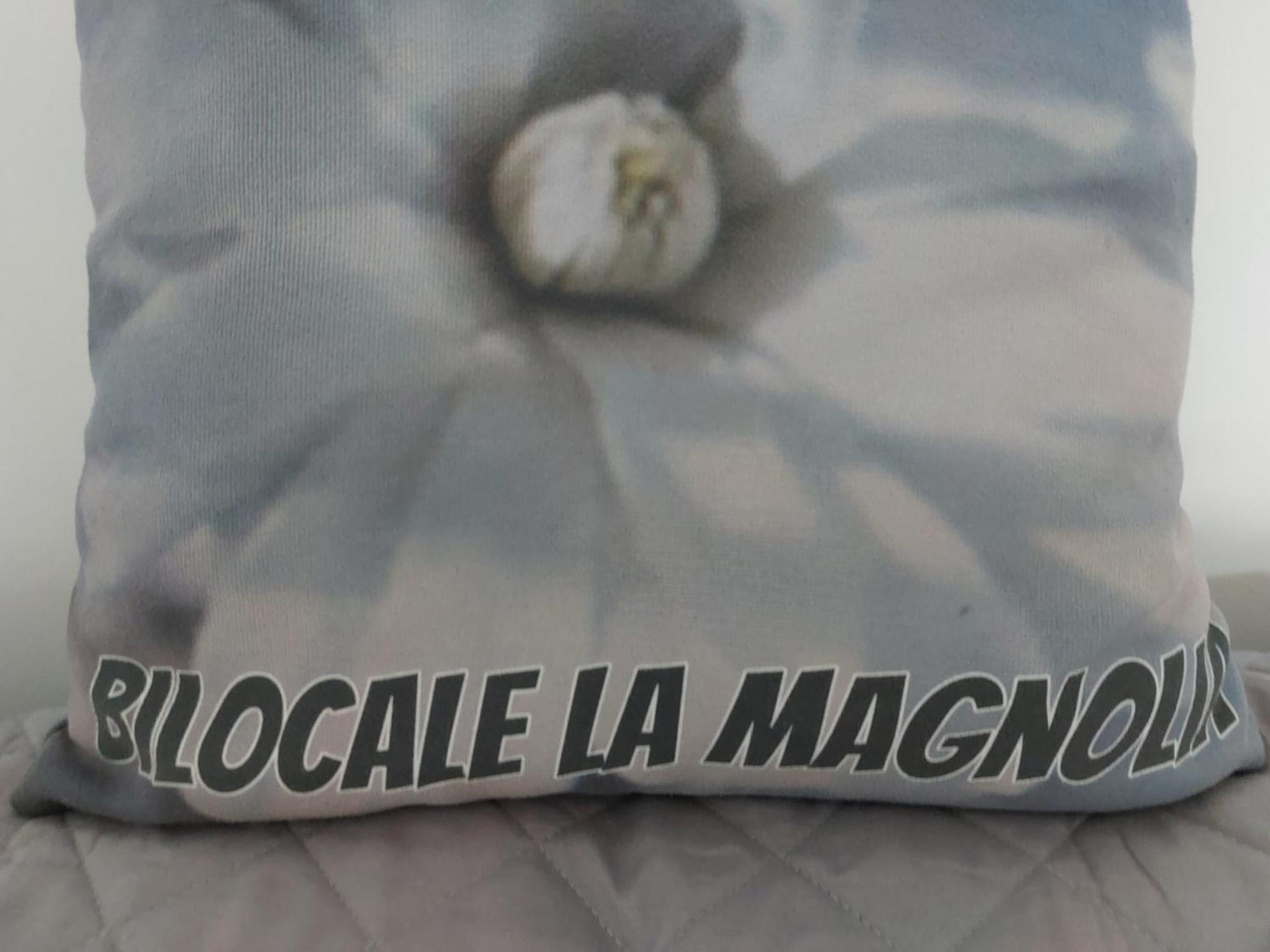 Apartment Bilocale La Magnolia *